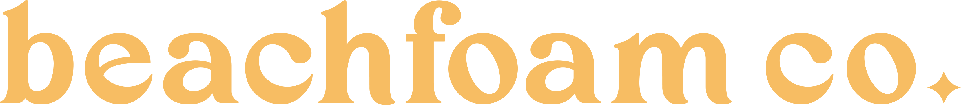 Beachfoam Co.