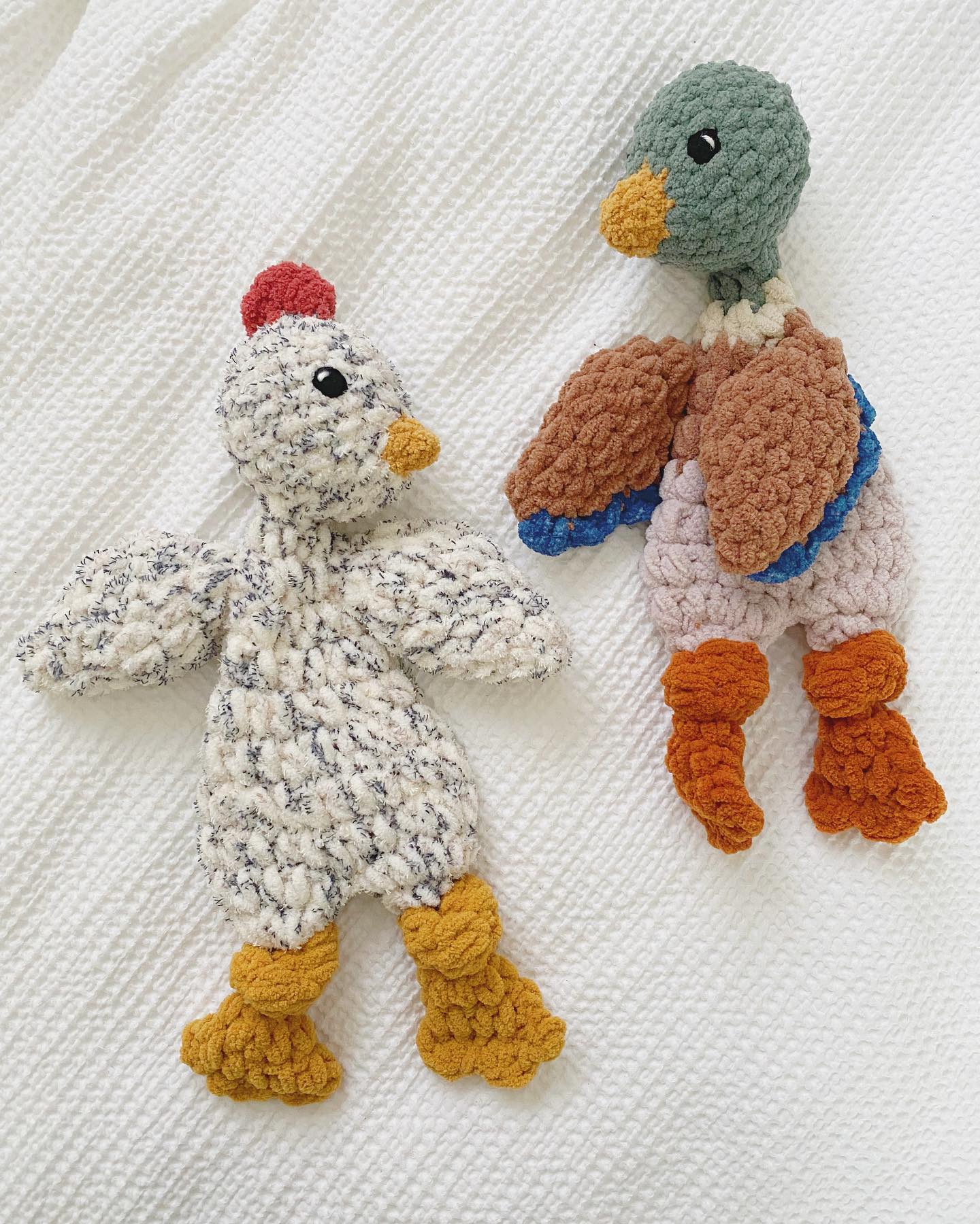 flying the coop… 🐔🦆