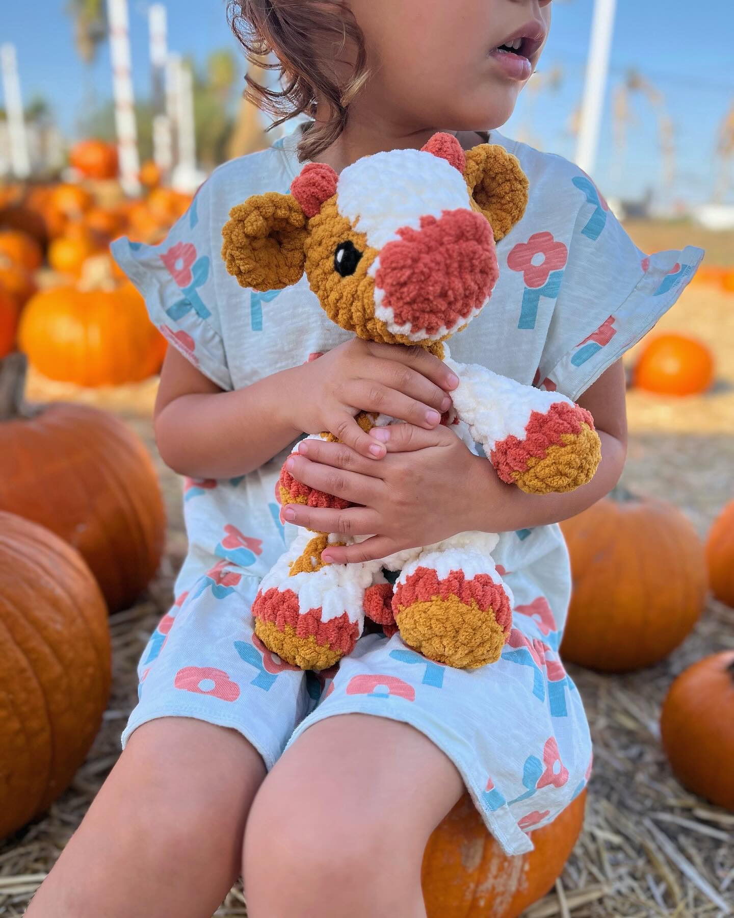 meet me at the pumpkin patch 🐮🎃