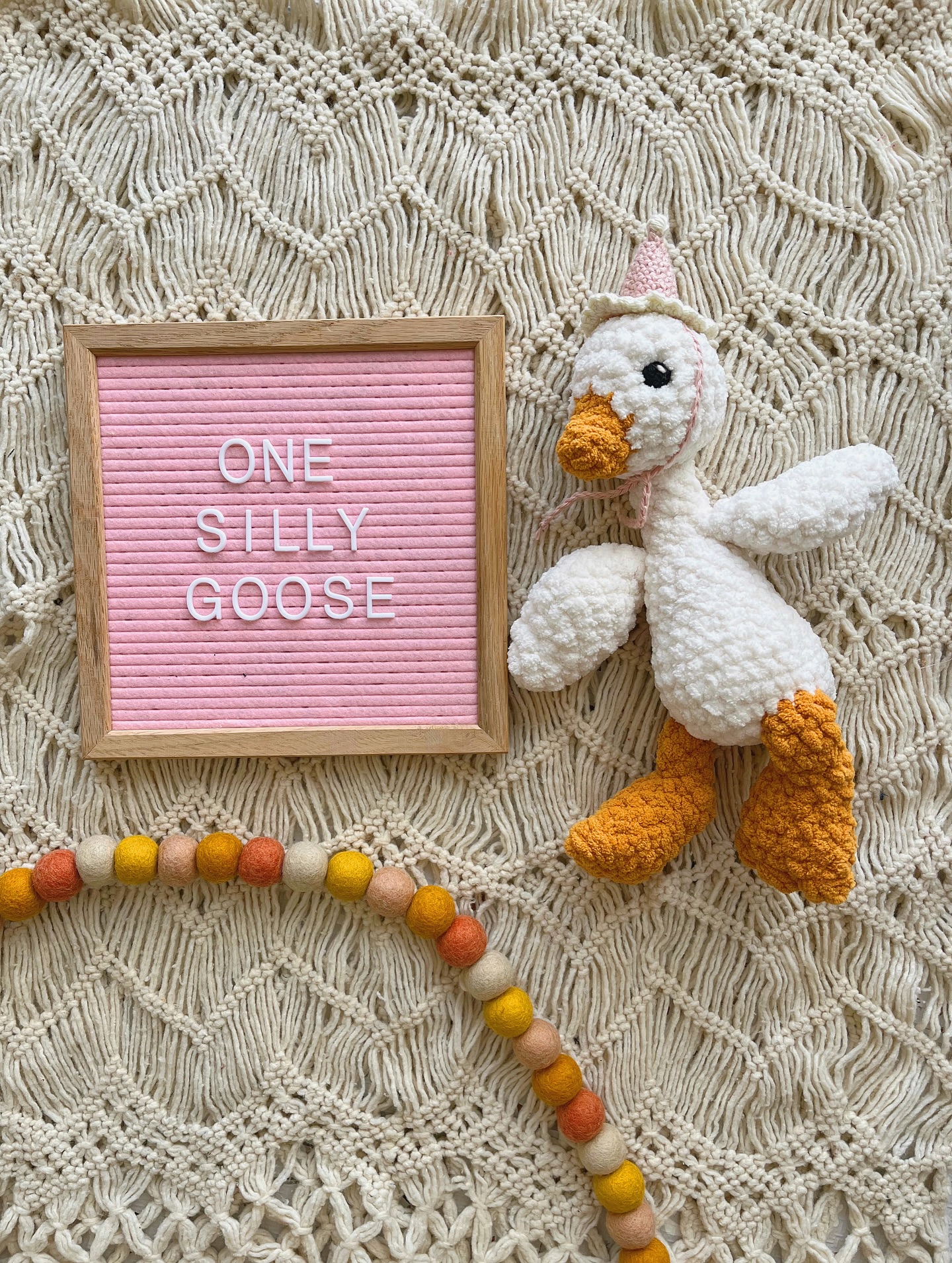 one silly goose 🎀🪿