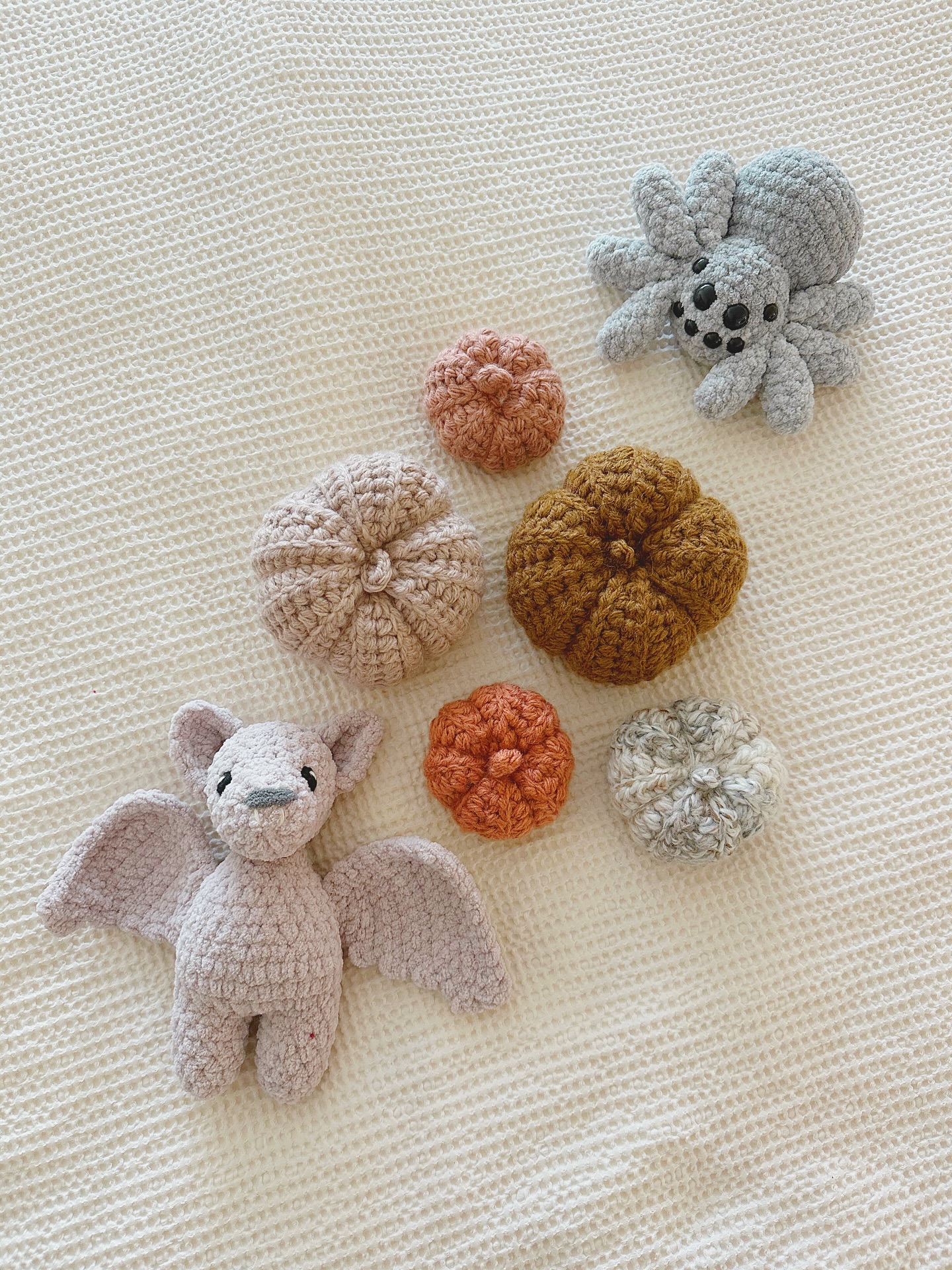 creepy crawly cute 🦇🕷️🎃