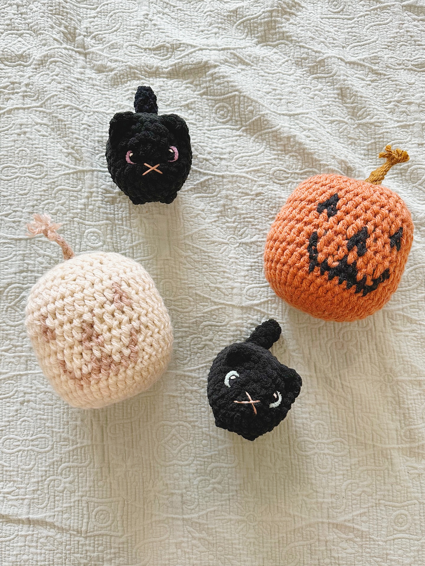 pumpkins + purrs ✨🎃🐾